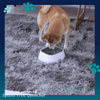 Load image into Gallery viewer, Paws AquaFlow Splash-Free Quencher