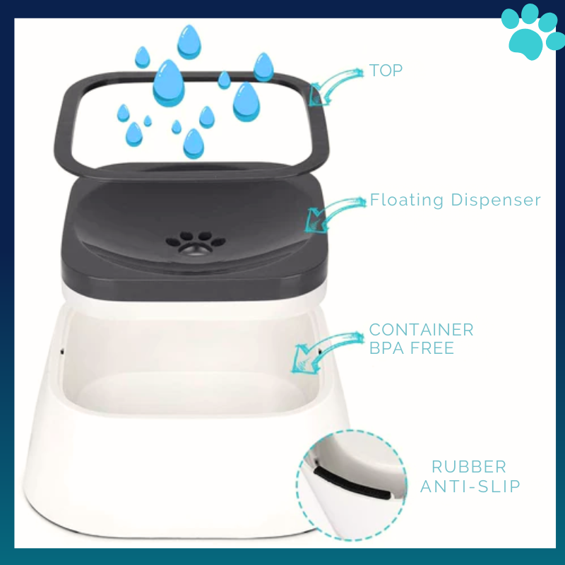 Paws AquaFlow Splash-Free Quencher