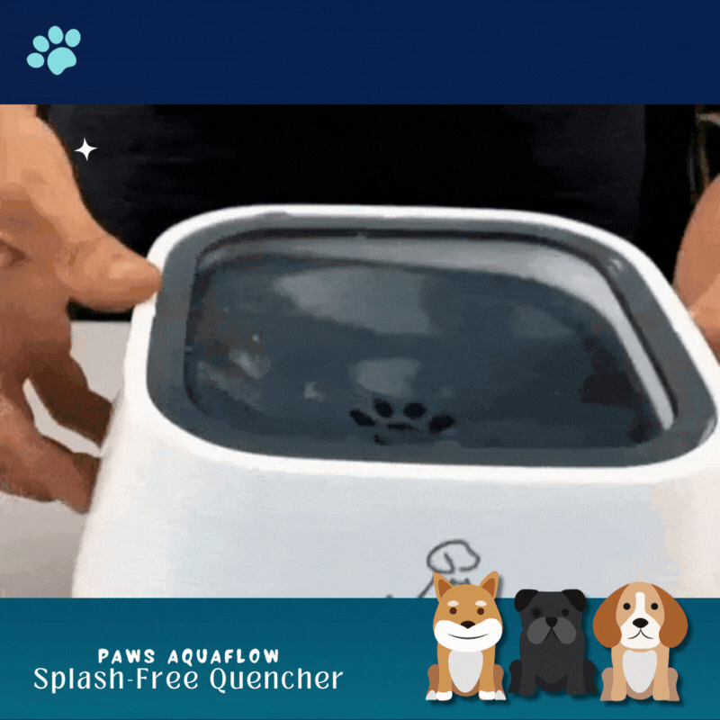 Paws AquaFlow Splash-Free Quencher